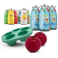 SmoothieDog Summer-Edition 3x 250 ml + Mix-Paket 6x 250 ml + Schleckball 2 Stück