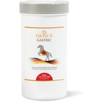 Equine 74 Ergänzungsfutter Gastric Pelle 2 kg