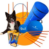 PfotenWunder® 9-in-1-Agility Set Hunde groß + 21 Min. Hundeschule