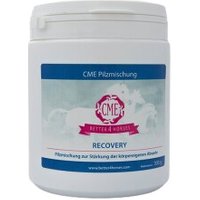 CME Recovery 300g