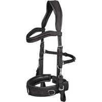 Waldhausen GmbH Waldhausen Kappzaum Anatomic schwarz VB/ COB (Vollblut)