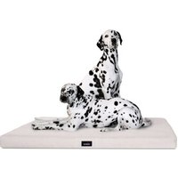 Tierlando ALICE VISCO - Orthopädische Hundematte creme 80 cm, 9 cm, 60 cm