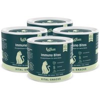 KatKare Vital Snacks Immuno Bites - Knusperkissen für das Immunsystem Deiner Katze mit Superfoods, wertvollen Aminosäuren, Antioxidantien und Omega-3 4x150 g