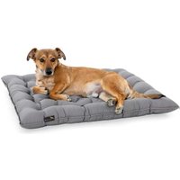 Doctor Bark Pointer Urban Kissen hellgrau XXL