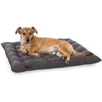 Doctor Bark Pointer Urban Kissen grau XXL
