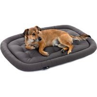 Doctor Bark Pointer Hundekissen grau L