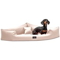 Tierlando TRIVIA orthopädisches Hundebett creme 1,2 m, 25 cm, 1,2 m