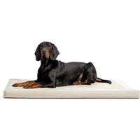 Tierlando CARLOS Velours-Kunstleder Hundematratze creme 1,2 m, 6 cm, 90 cm