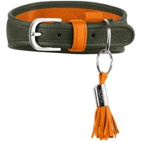 Hunter Windhundhalsband portofino oliv M