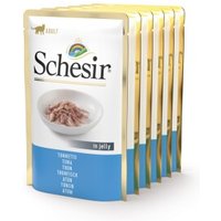 Schesir Adult 6x85g Thunfisch