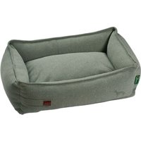 Dog Sport Recycling Hundesofa Belluno