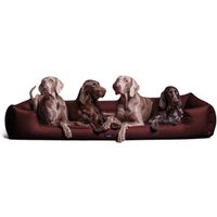Tierlando GOOFY - Orthopädisches Hundebett aus Polyester inkl. Matratzenschoner bordeaux 1,6 m, 25 cm, 1,1 m