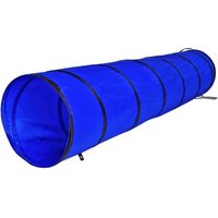 Lionto 2m Tunnel mit Heringen