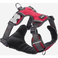 Red Dingo Geschirr Gepolstert M rot