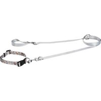 FIT+FUN Halsband+Leine Set hellgrau L