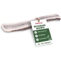 Supravit Rothirsch-Geweihhälfte für Hunde – 100 % Natur, gespalten, Zahnpflege & Kauspaß XS