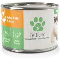 Fellicita Huhn, Pute & Ente 6x1,2 kg