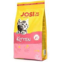 JosiCat Kitten