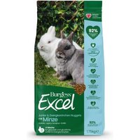 Burgess Excel Junior & Zwergkaninchen Nuggets mit Minze – Ergänzungsfutter für junge & zwergige Kaninchen