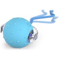 PetTec Interactive Toy Ball 1