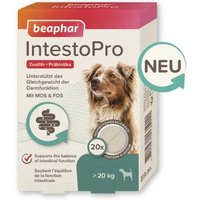 Beaphar IntestoPro Tabs für große Hunde 20 St.
