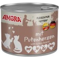 Amora Cat Katzenkinder 6x200g Rind