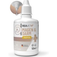 REAVET Magen & Darm Tropfen 50ml