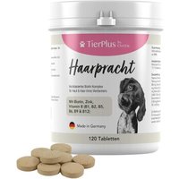 TierPlus ® Haarpracht Tabletten - hochdosiertes Biotin Komplex für Hunde