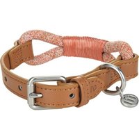 more LIFESTYLEPETS Tau-Halsband rot S