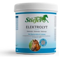 Stiefel Elektrolyt 1 kg
