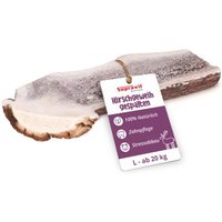 Supravit Rothirsch-Geweihhälfte für Hunde – 100 % Natur, gespalten, Zahnpflege & Kauspaß L