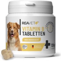 REAVET Vitamin B Tabletten 120Stk
