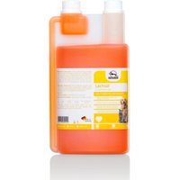 Fortan Lachsöl BARF Zusatz 1 l