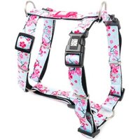 Max & Molly H-Geschirr - Cherry Bloom XS