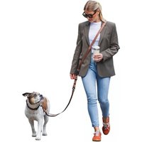 Freudentier UrbanFlow Umhängeleine, Hundeleine 3m braun