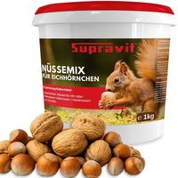 Supravit Frische Nüsse-Mix Eichhörnchen Futter 1kg | Ganzjahresfutter für Eichhörnchen