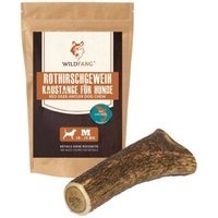 Wildfang Rothirsch Geweih mit Lachsöl L