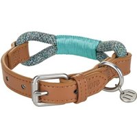 more LIFESTYLEPETS Tau-Halsband türkis L