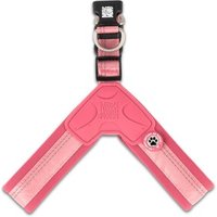 Max & Molly Q-Fit Geschirr - Matrix 2.0 Rose XS