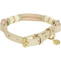 more LIFESTYLEPETS Tau-Halsband beige M