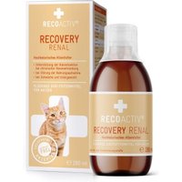 RECOACTIV Recovery Renal für Katzen, hochkalorisches Diät-Alleinfuttermittel, zur Unterstützung der Nierenfunktion 280 ml