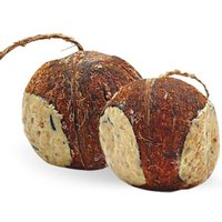 Lyra Pet Gefüllte Kokosnuss mit Löchern 2x4 Stück