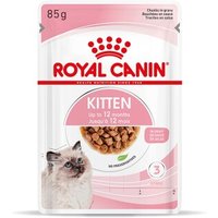ROYAL CANIN Kitten in Soße 12x85 g