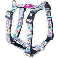 Max & Molly H-Geschirr - Magic Zebra S