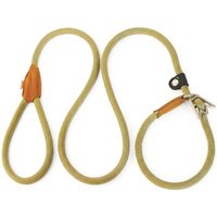 Rudelkönig Retrieverleine mit Zugstopp, Moxonleine Hundeleine mit Halsband