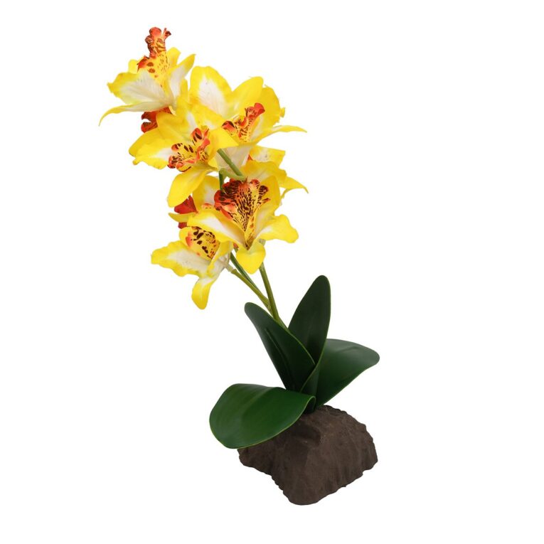 Lucky Reptile Orchidee Gelb 35 cm. Gestalte dein Terrarium mit der Lucky Reptile Orchidee: realistische Kunstpflanze mit gelber Blüte